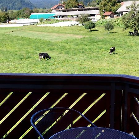 Apartma Julia Spodnje Gorje 外观 照片