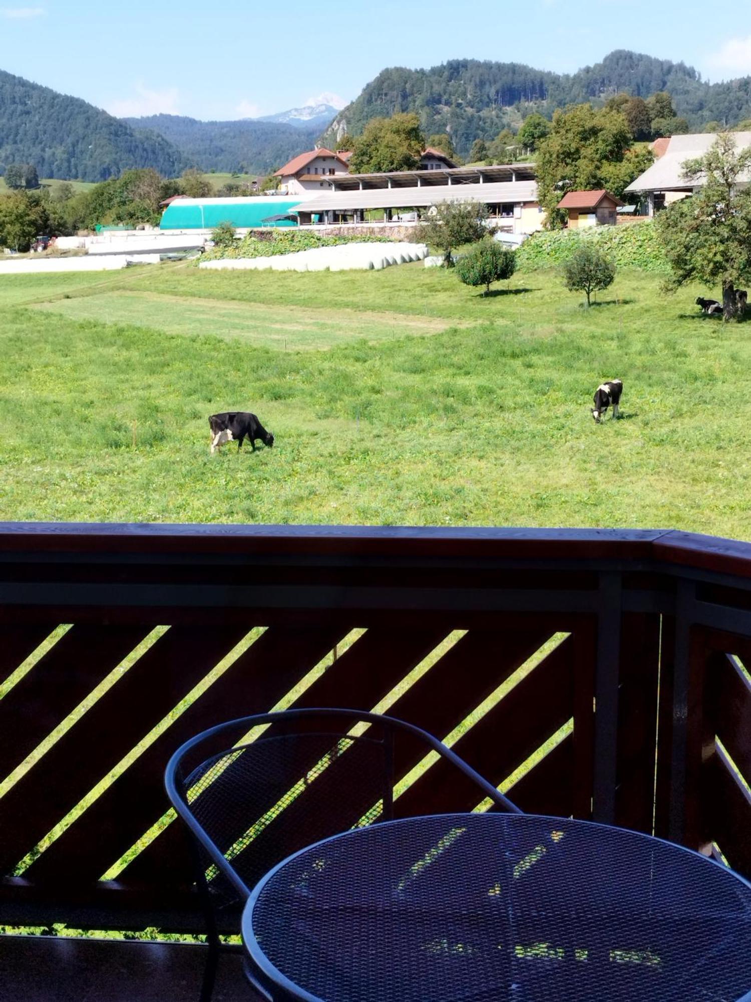 Apartma Julia Spodnje Gorje 外观 照片